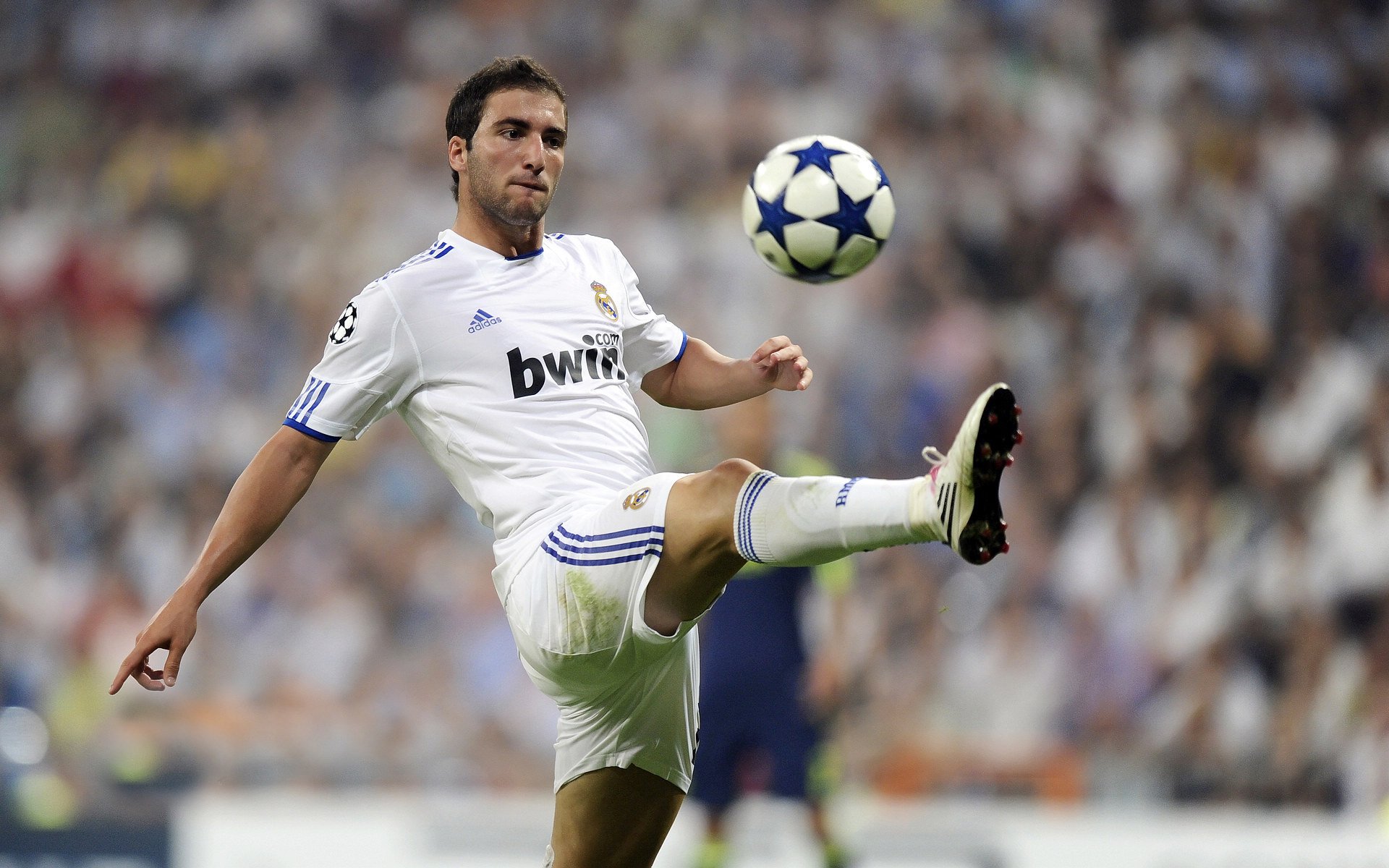 波尔火力全开，法国队战术碾压葡萄牙，欧洲杯上演王者对决