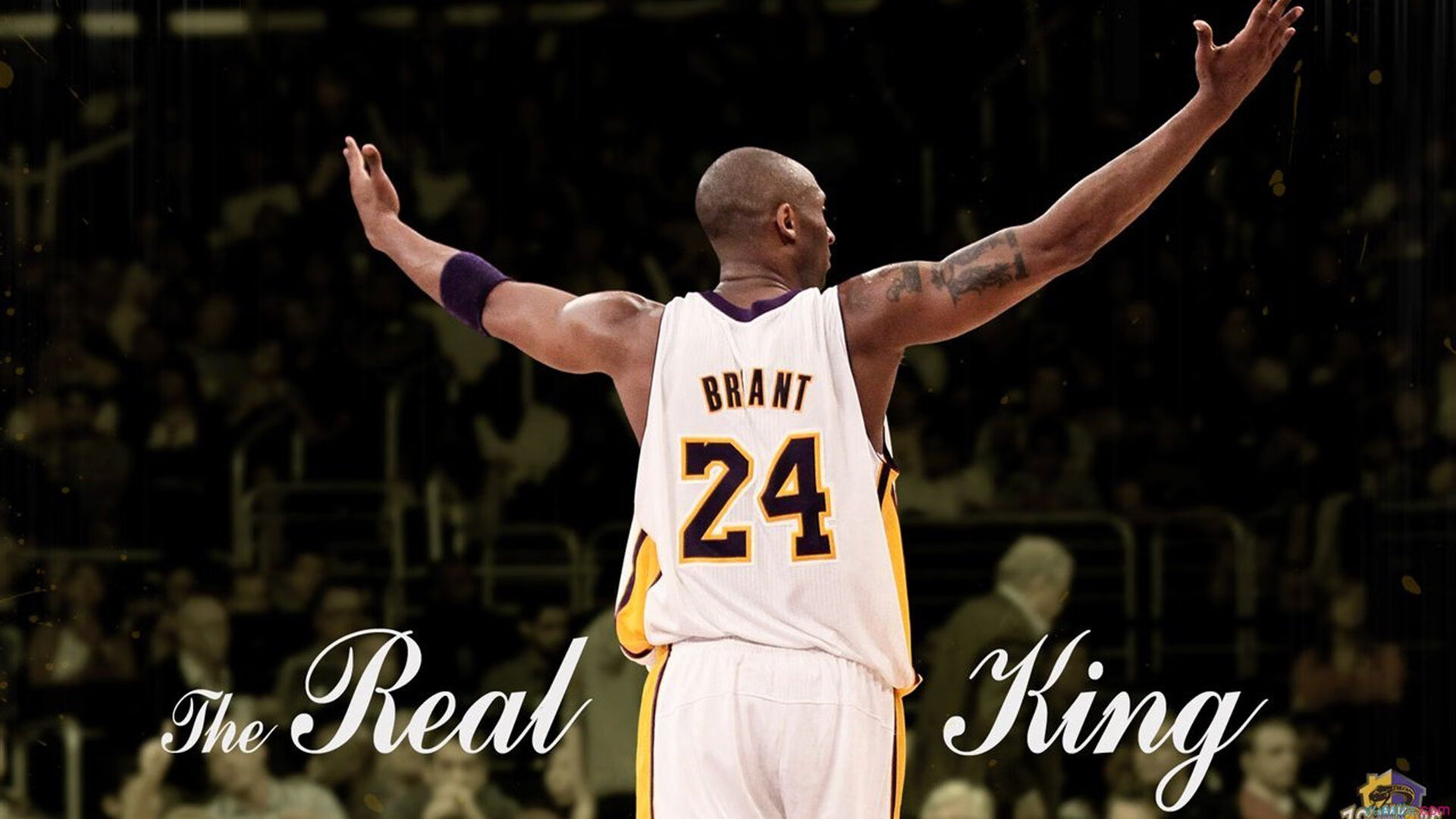 开云体育官网-绝境中的王者，本泽马高光闪耀，希腊神话般的绝杀里昂之夜